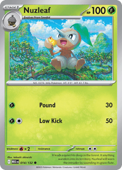 Nuzleaf, 14/132, Standard