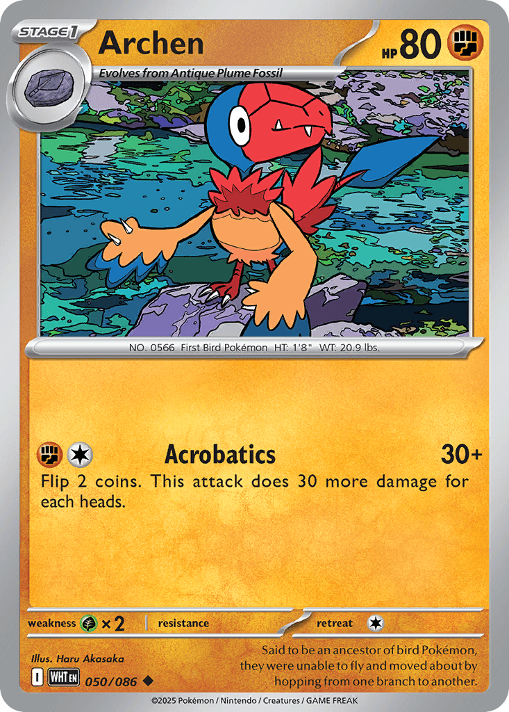 Archen, 50/86, Standard