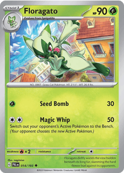 Floragato, 14/193, Standard