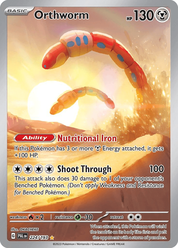 Orthworm, 224/193, Standard