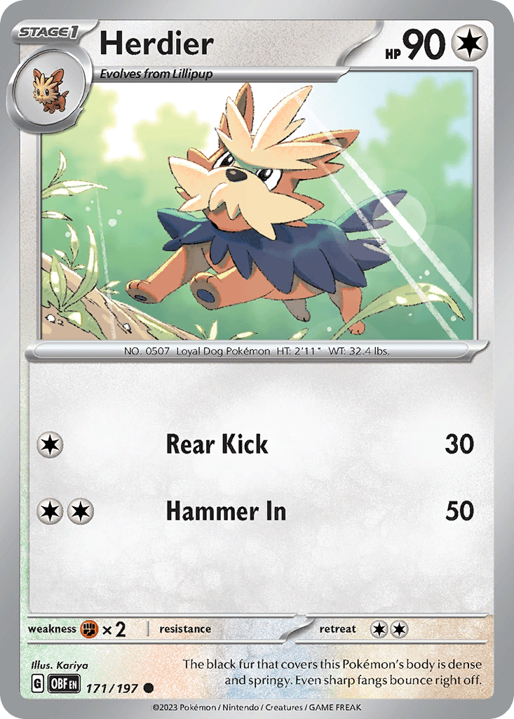 Herdier, 171/197, Standard