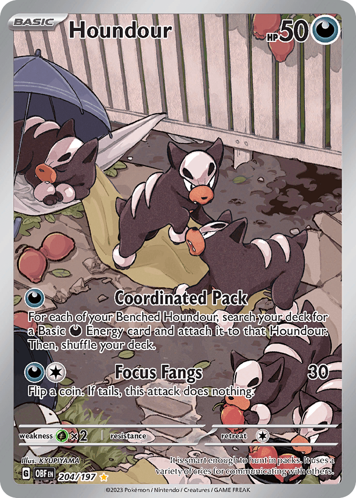 Houndour, 204/197, Standard