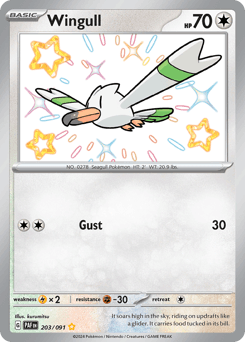 Wingull, 203/91, Standard