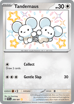 Tandemaus, 209/91, Standard