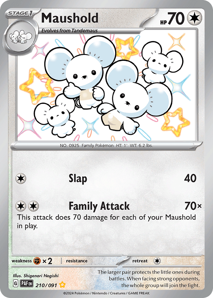 Maushold, 210/91, Standard