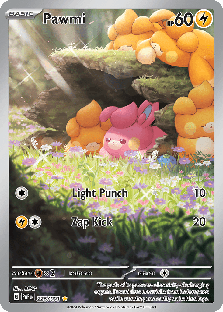 Pawmi, 226/91, Standard