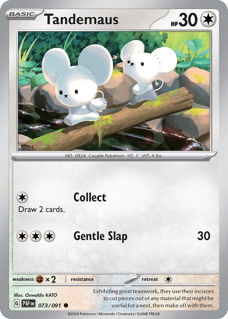 Tandemaus, 73/91, Standard