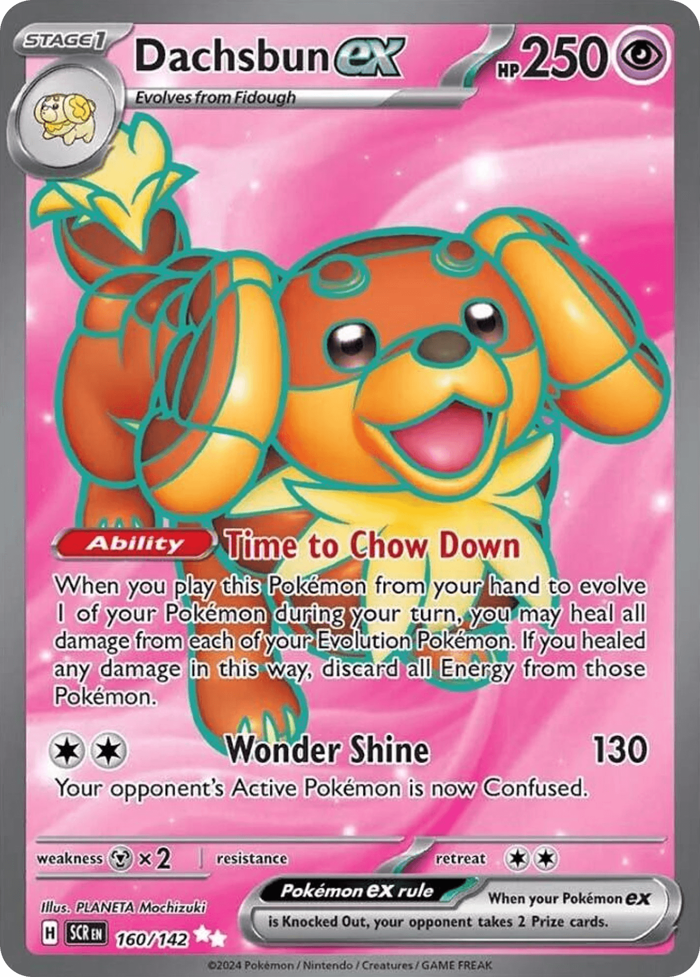 Dachsbun ex, 160/142, Standard