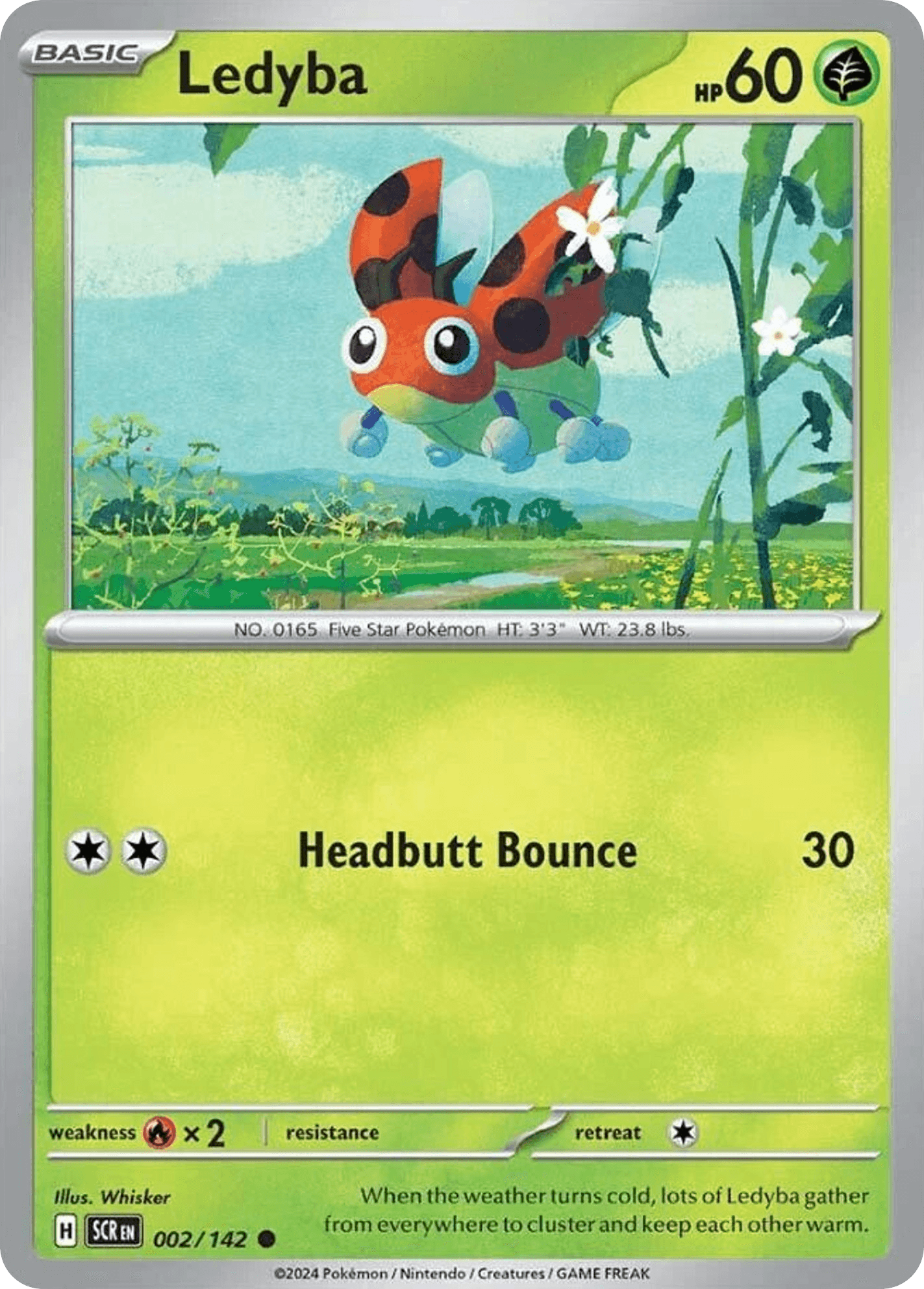 Ledyba, 2/142, Standard
