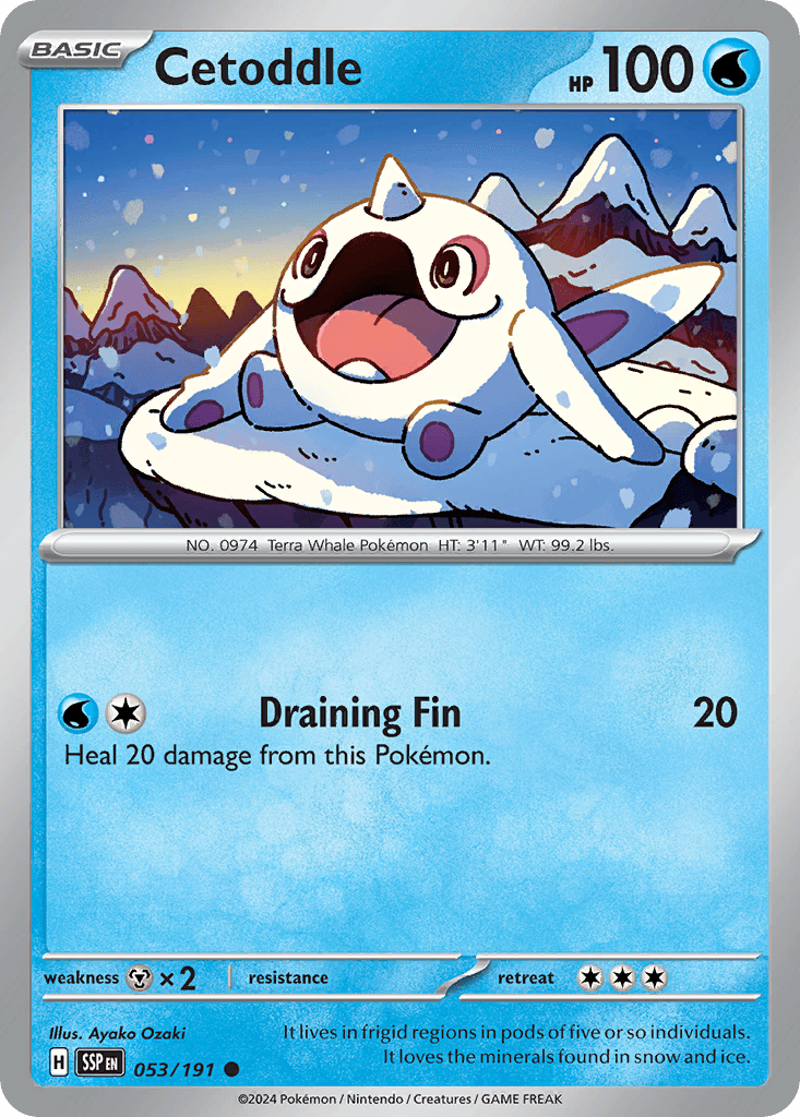Cetoddle, 53/191, Standard