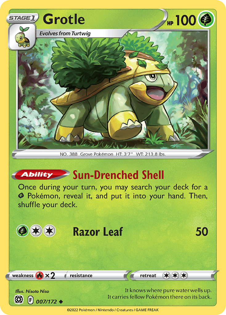 Grotle, 7/172, Standard