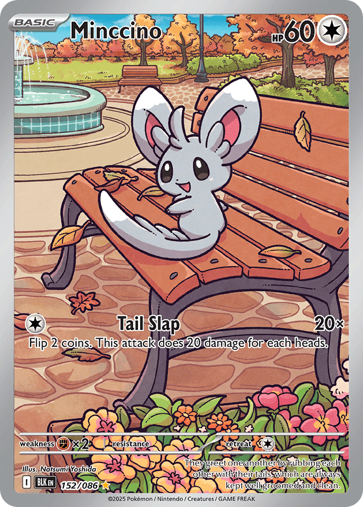 Minccino, 152/86, Standard