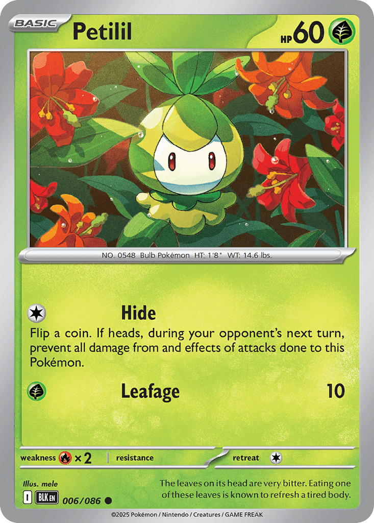 Petilil, 6/86, Standard