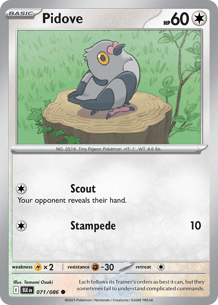 Pidove, 71/86, Standard