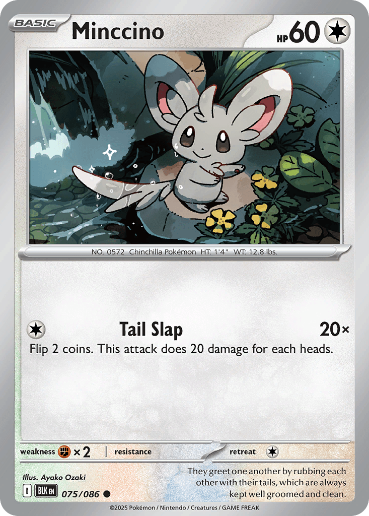Minccino, 75/86, Standard
