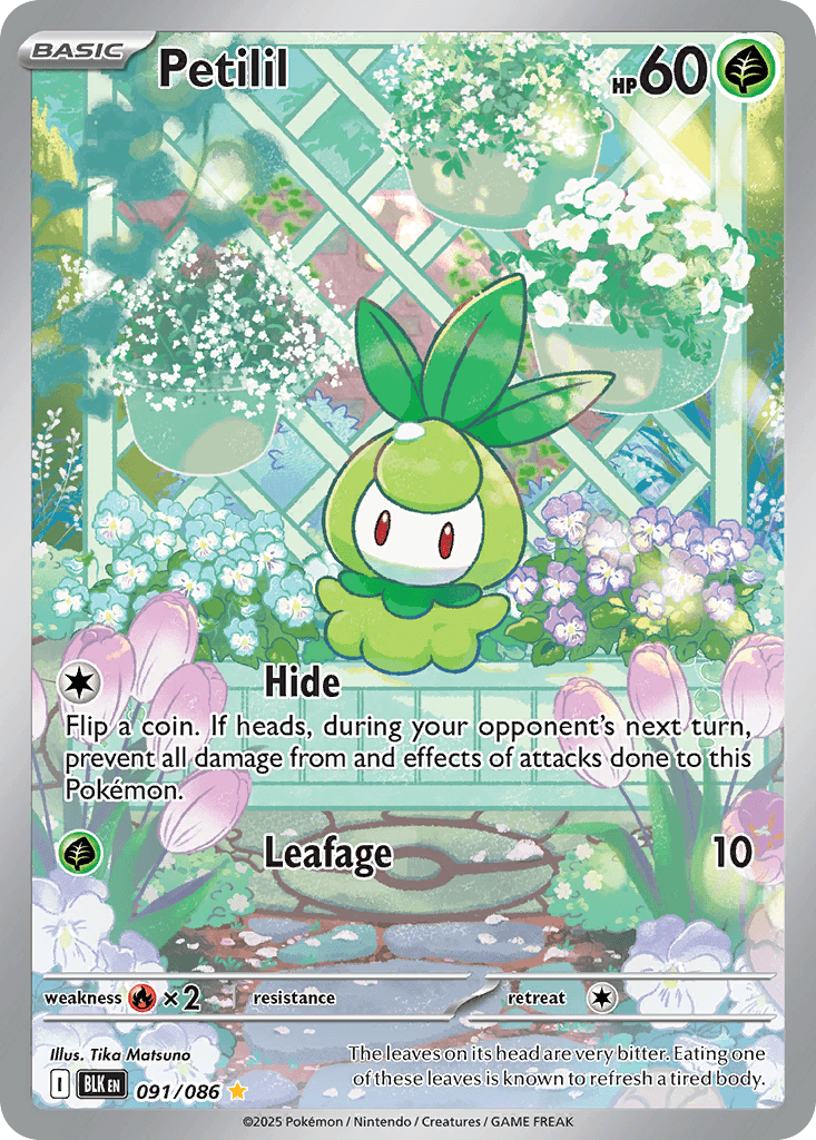 Petilil, 91/86, Standard