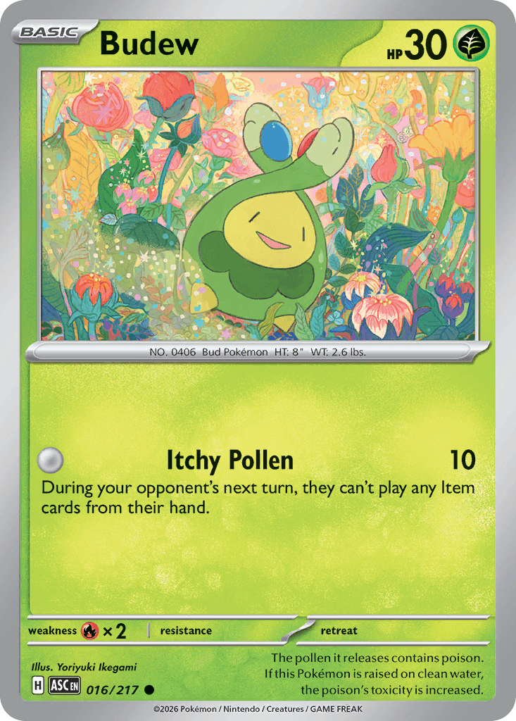 Budew, 16/217, Standard