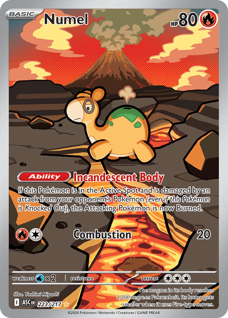Numel, 223/217, Standard