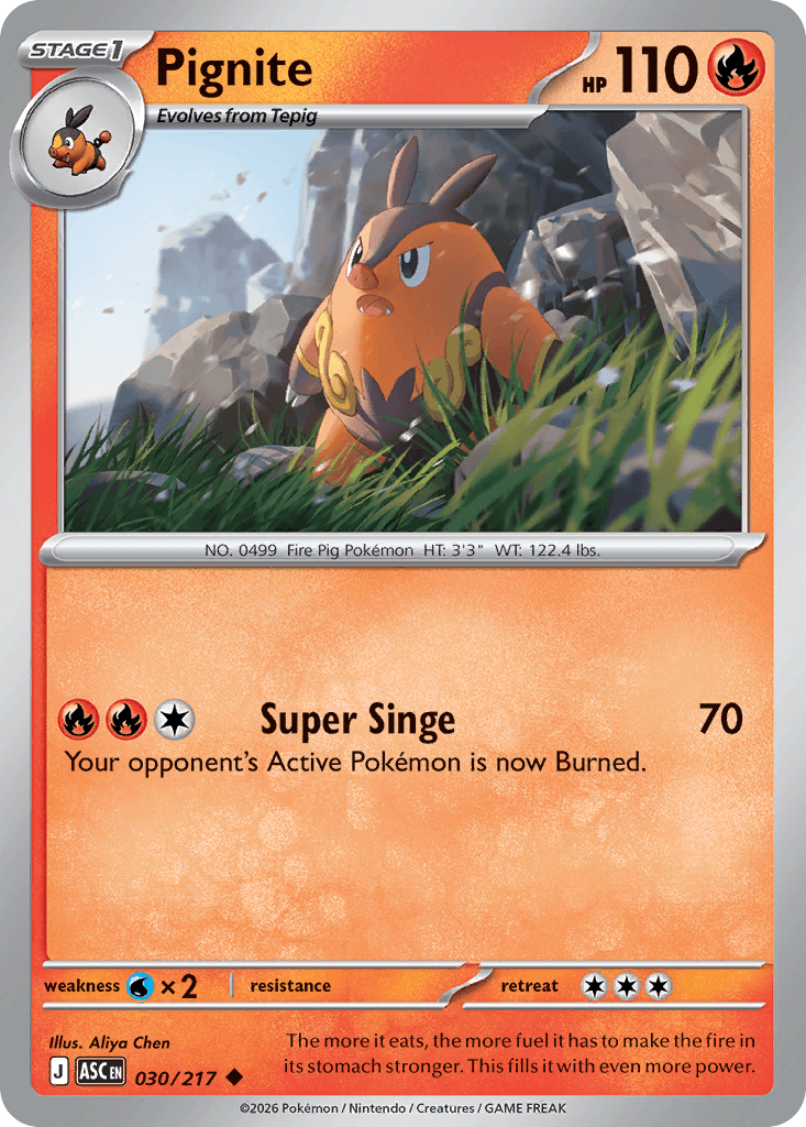 Pignite, 30/217, Standard