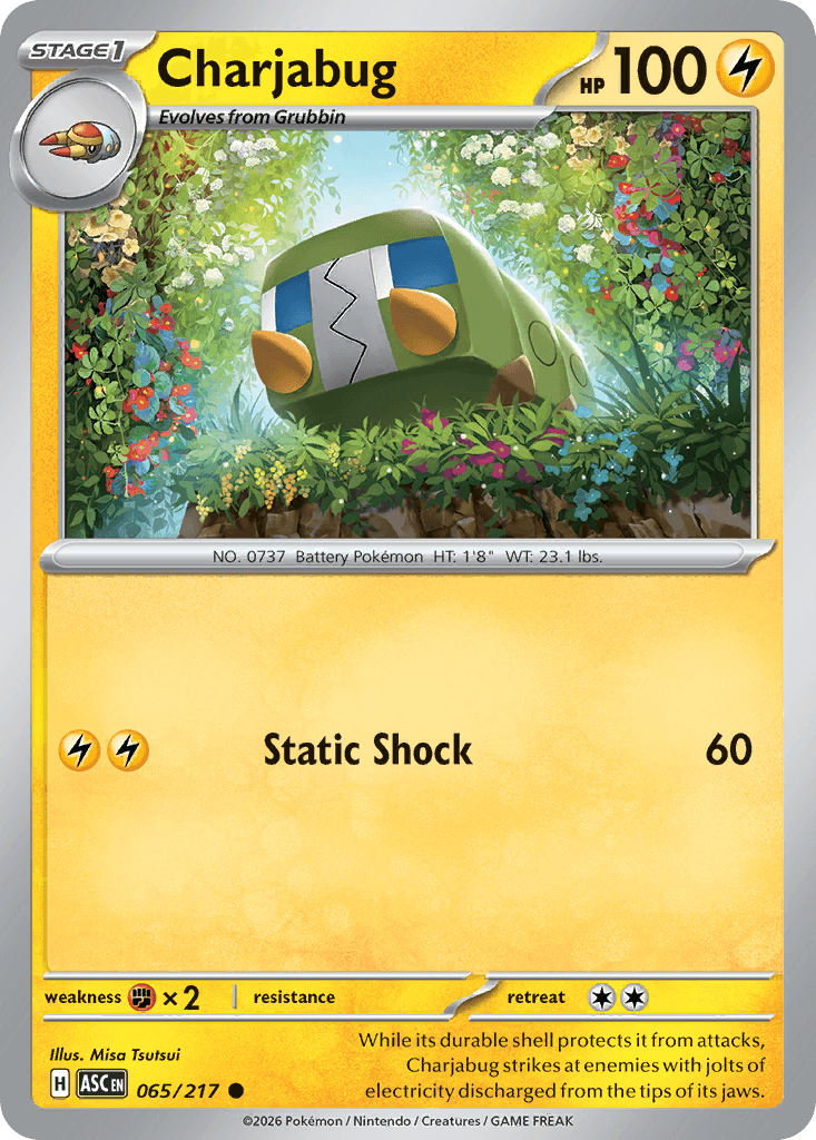 Charjabug, 65/217, Standard