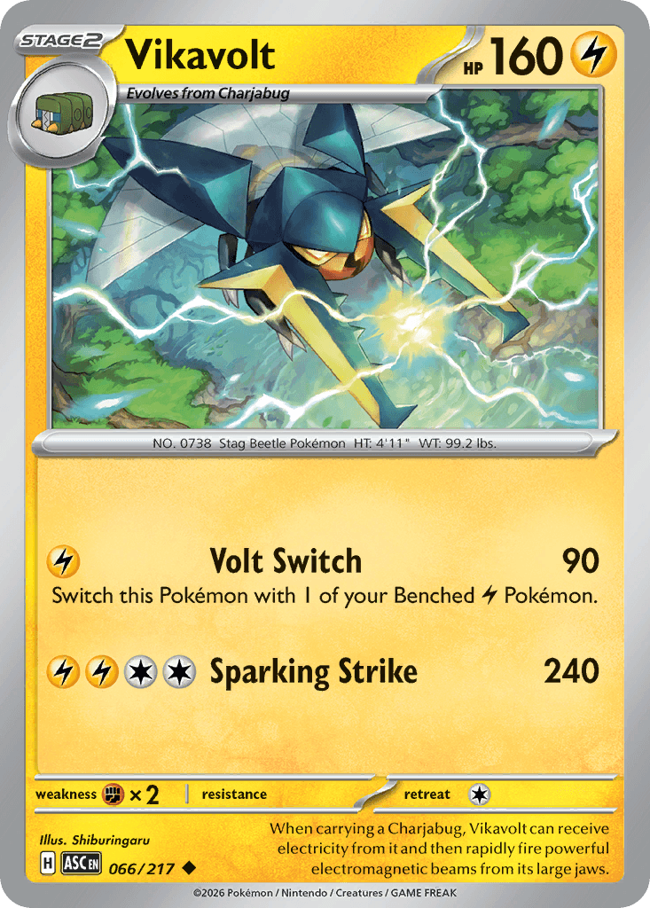 Vikavolt, 66/217, Standard