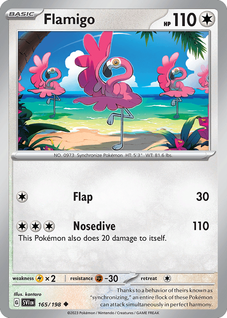 Flamigo, 165/198, Standard
